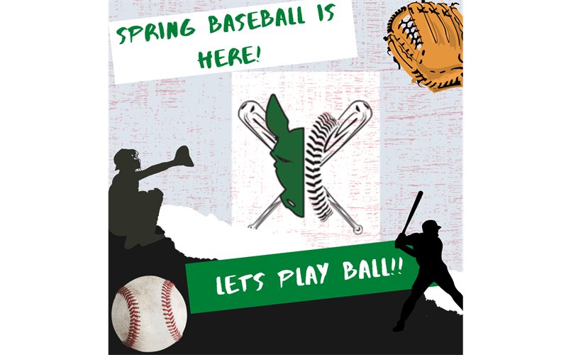 Spring Baseball